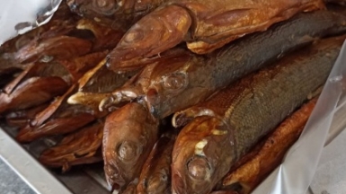 Фото наших Странников