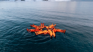 Фото наших партнеров