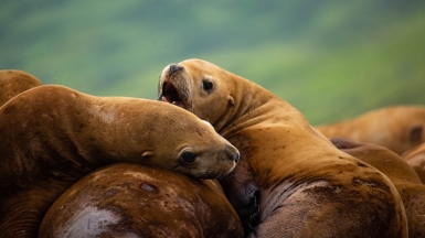 Фото из архива Клуба