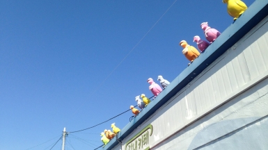 Источник фото: visualhunt.com