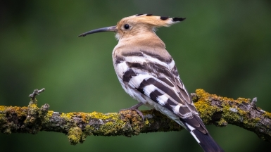 Фото нашего гида Михаила Верёвченко