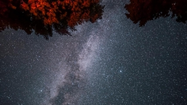 Фото из архива Клуба