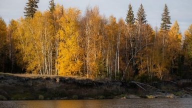Фото нашего гида Михаила Верёвченко
