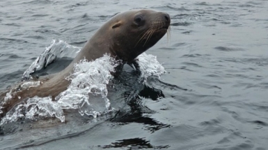 Фото из архива Клуба