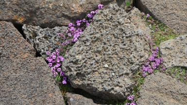 Фото нашей Странницы Оксаны Царьковой