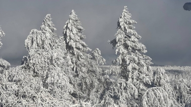 Фото из архива Клуба