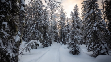 Фото нашего гида Михаила Верёвченко