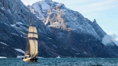 Фото: Dylan Shaw, unsplash.com