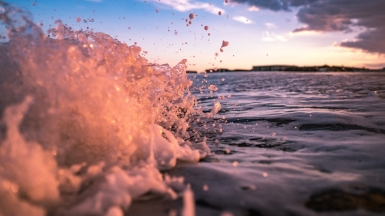 Фото: Ryan Loughlin, unsplash.com