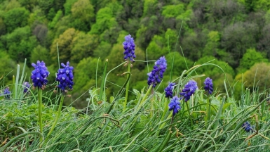 Фото наших Странников