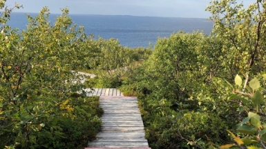 Фото нашего гида Евгении Скопиной