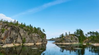 Фото: aleksey nemiro on unsplash