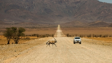 Фото Dirger Strahl для Unsplash.com