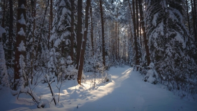 Фото нашего гида Михаила Верёвченко