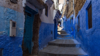 Автор: cat_collector, источник: visualhunt 