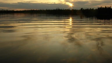 Фото: Куликов Александр