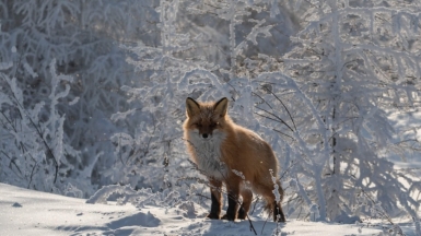 Фото: Михаил Местников