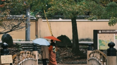 Фото: Hongwei Fan on unsplash