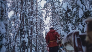 Фото: Illia Panasenko unsplash.com