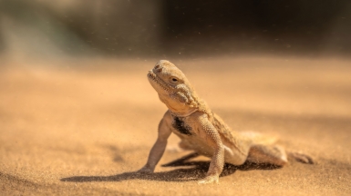 Фото нашего гида Михаила Верёвченко