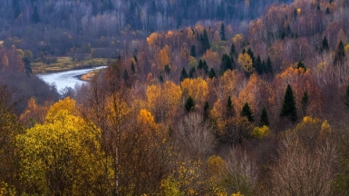 Фото Фёдора Лашкова