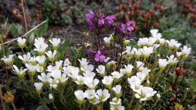 Фото нашего Странника Александра Панченко