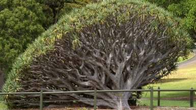 Фото: jimbowen0306. Источник: visualhunt.com