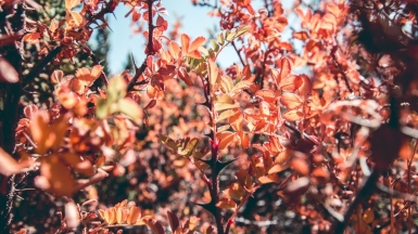 Фото Даниила Калинцева