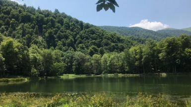 Фото: Karine Avetisyan, unsplash.com