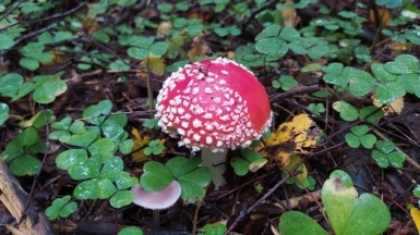 Фото наших Странников