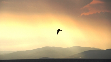 Фото Вероники Кузенковой