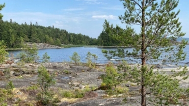 Фото из архива Клуба