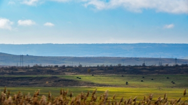 Фото: Ivan, unsplash.com