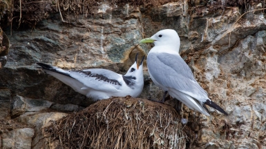 Фото из архива Клуба