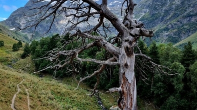 Фото наших Странников