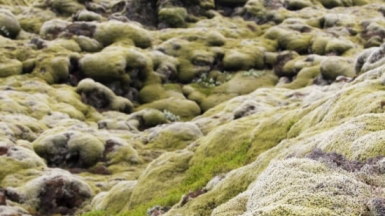 Фото наших Странников