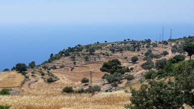 Фото нашего гида Марины Чудновской
