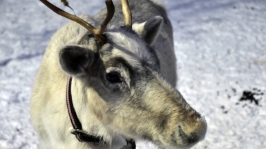 Фото: Татьяна Мамоненкова 