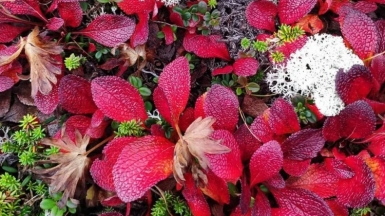 Фото нашей Странницы Евгении Скопиной