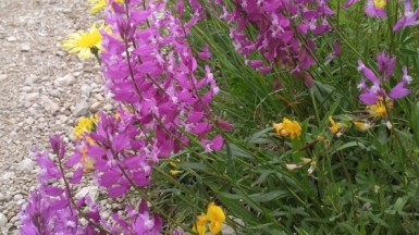 Фото наших Странников