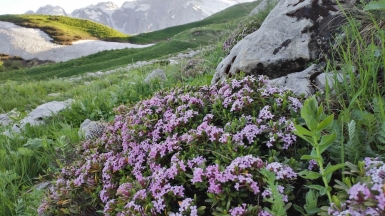 Фото наших Странников