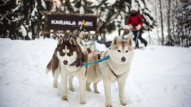 Фото из архива Клуба