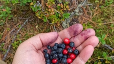 Фото наших Странников