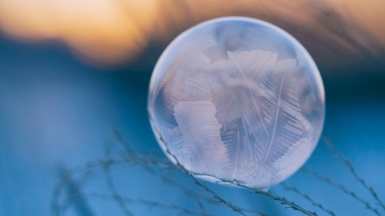 Фото: aaron burden on unsplash