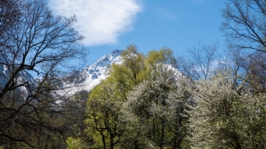 Вид на заснеженные домбайские вершины. Фото нашего Странника Кирилла Родионова