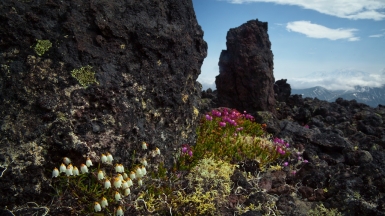 Дзендзур, фото: Степанов Илья