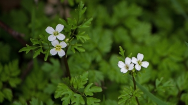 Фото: katunchik, visualhunt.com