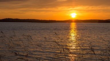 Фото Андрея Пашкевича