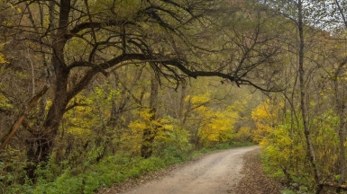Фото нашего гида Михаила Верёвченко