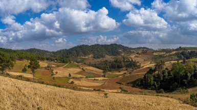 Фото Александра Рыбакова